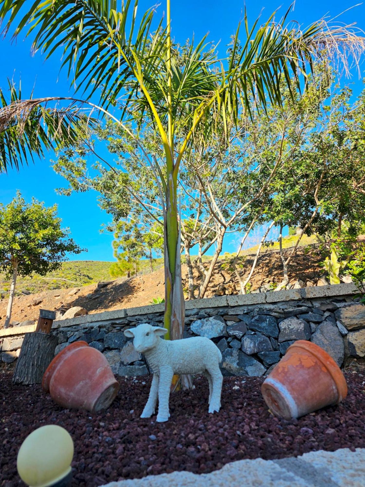 Villa Carlitos Vistas Al Mar Y A La Montana アデヘ エクステリア 写真